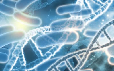 Prendre soin de son microbiote ?